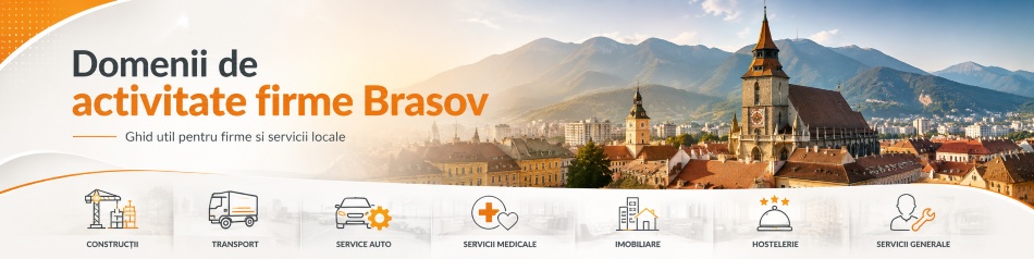Domenii de activitate firme Brasov